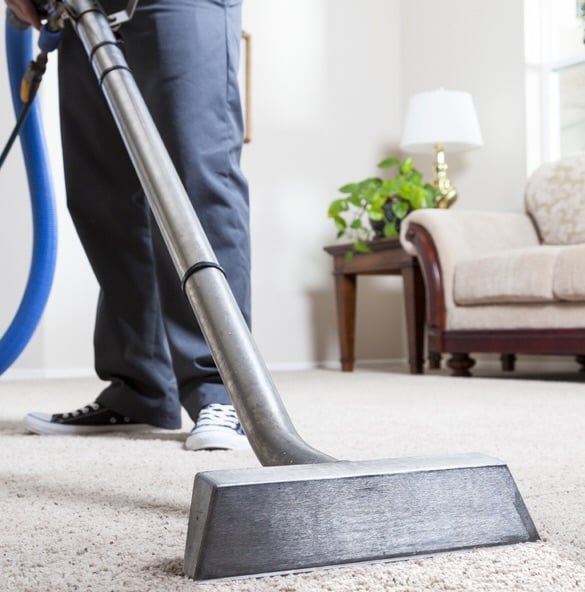 Photo of DM Carpet Cleaning