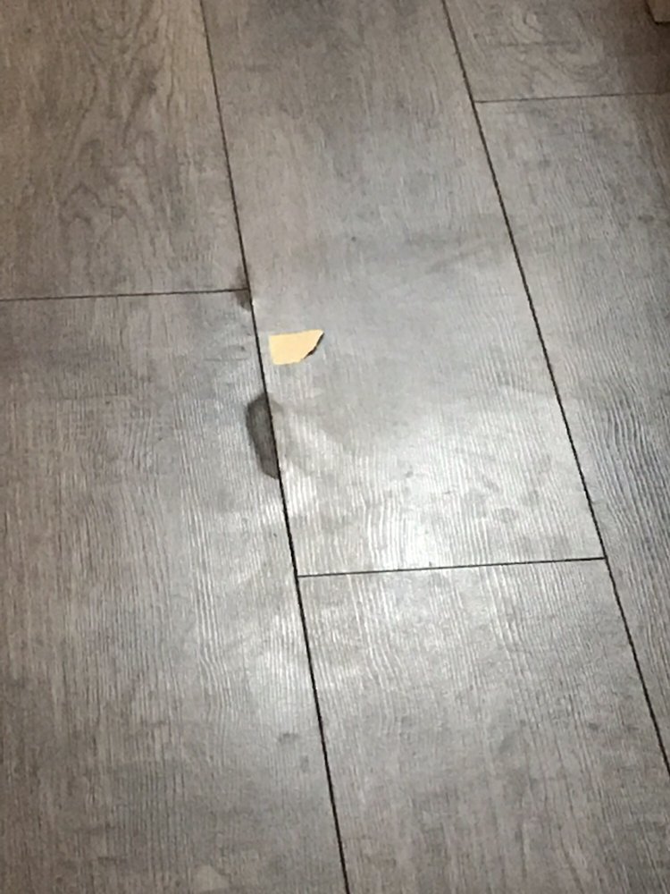 Photo of RateMyHousekeeper