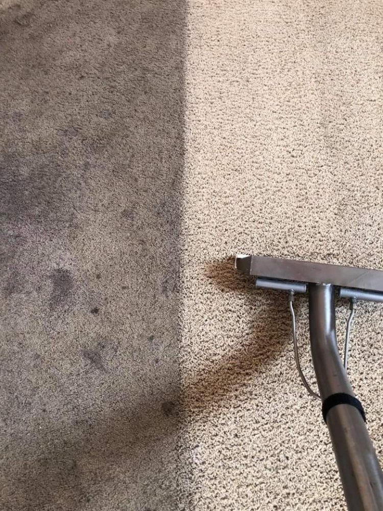 Photo of Steem Rite Carpet Care