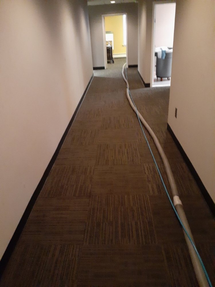 Photo of Steem Rite Carpet Care