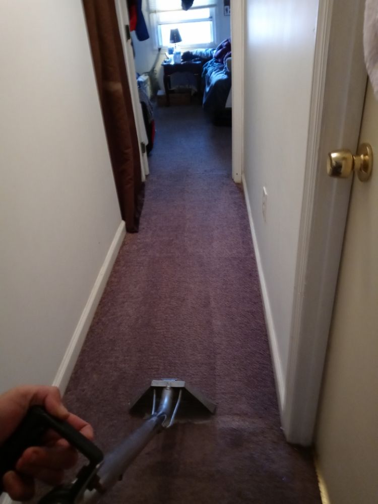 Photo of Steem Rite Carpet Care