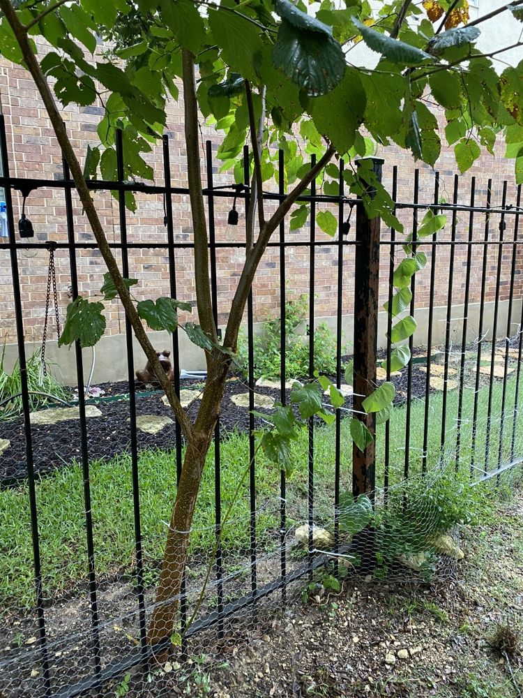 Photo of Crew Cut Lawn and Landscape