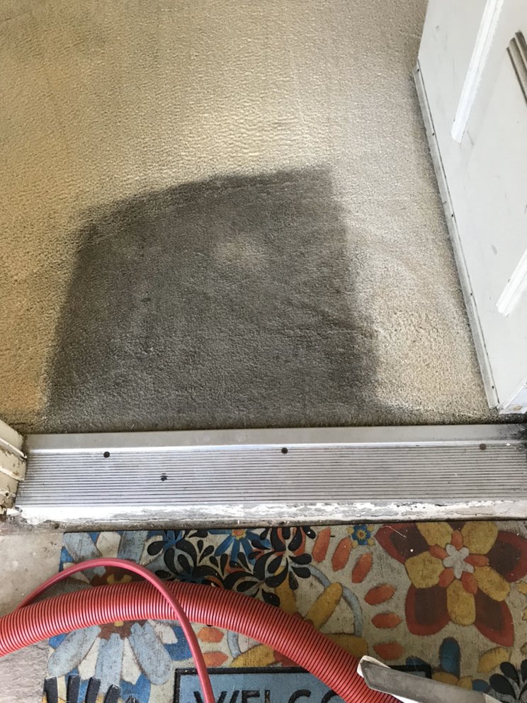 Photo of World Class Carpet Cleaning & Pet Stain-Odor Specialists