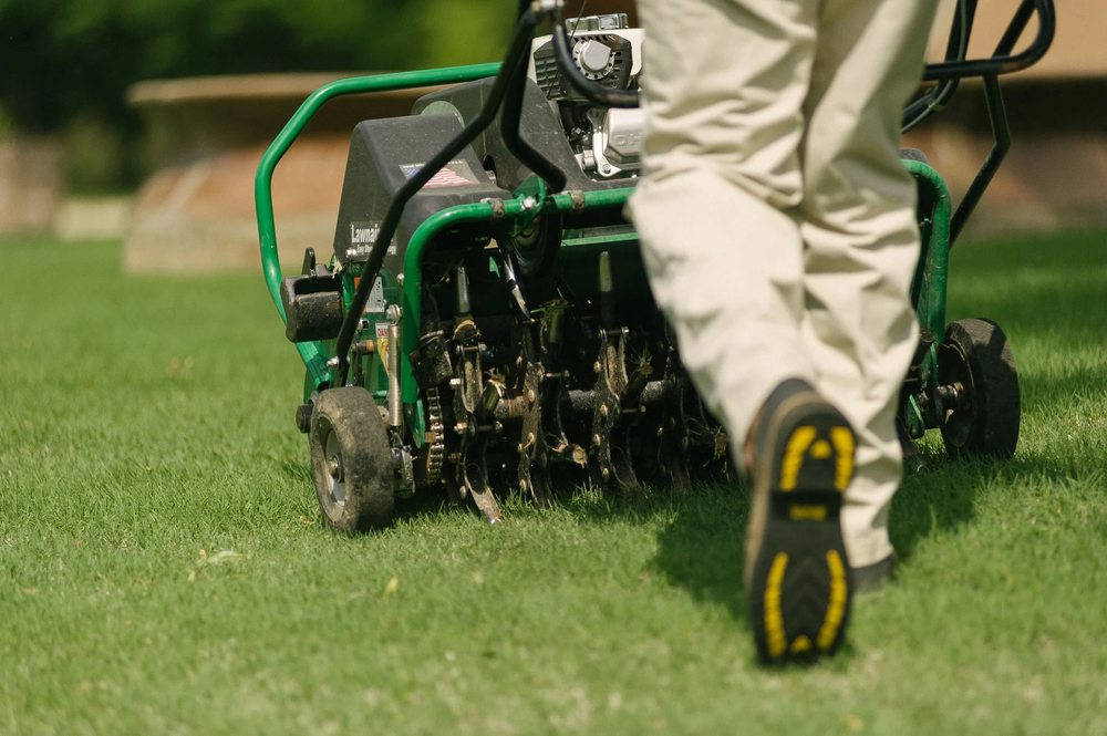 Photo of Master Lawn
