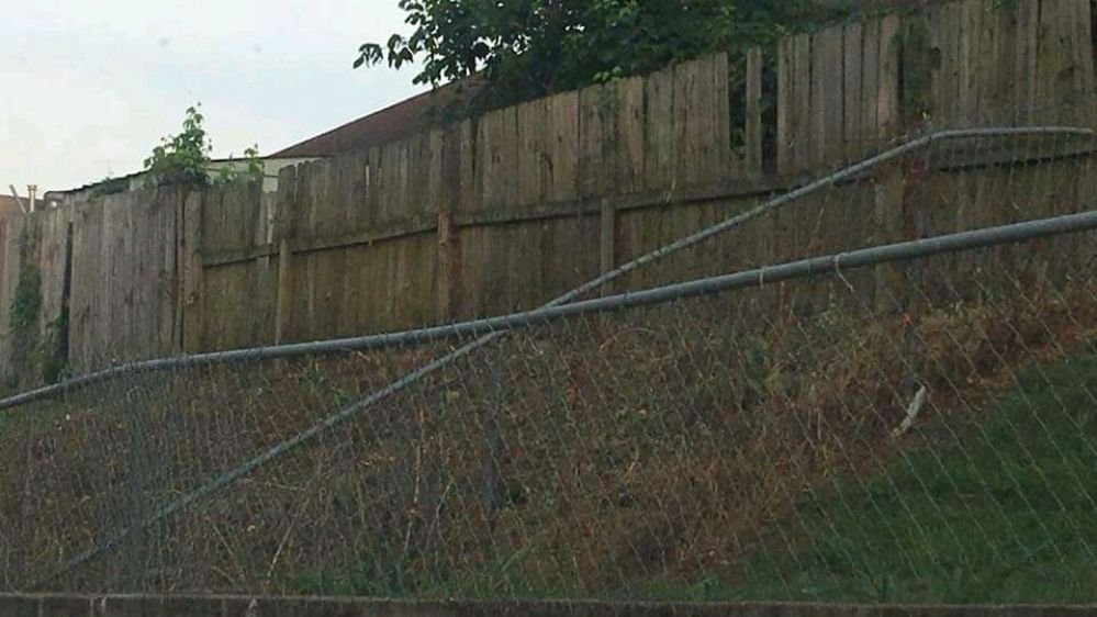 Photo of Jays Mobile Lawn Service