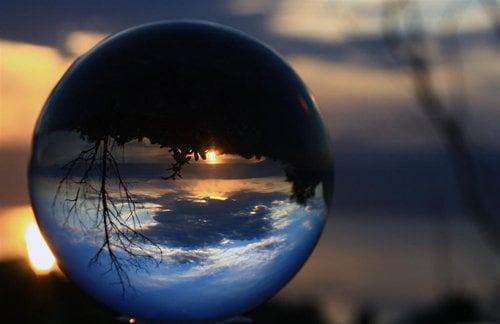 Photo of Fortune Telling Plus