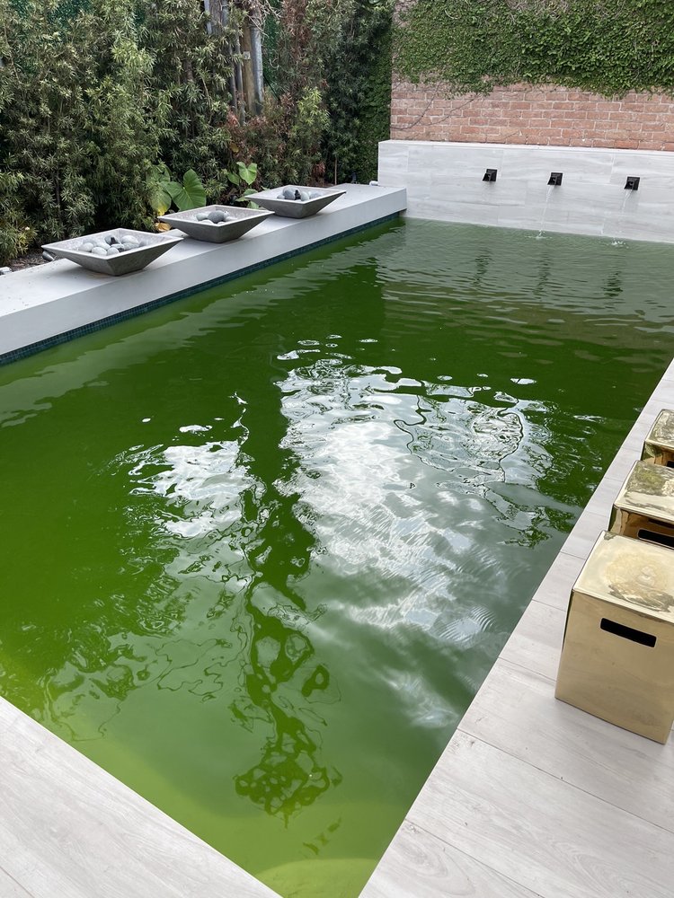 Photo of Manning Pool Service