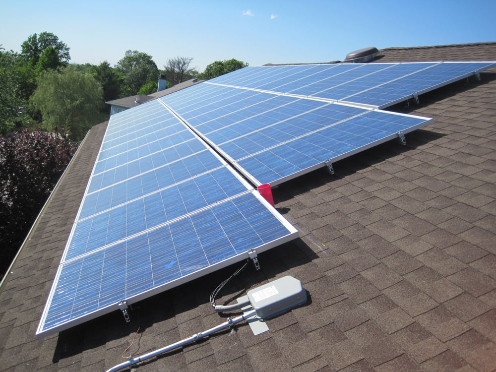 Photo of Blue Paw Energy Service