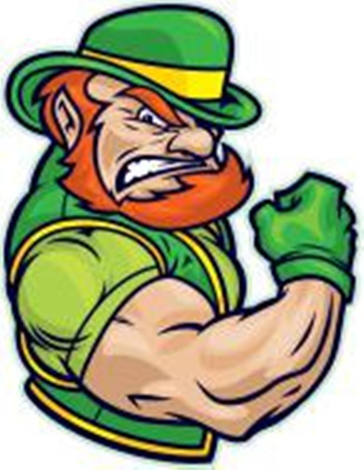 Photo of Irish N' Clean Residential Cleaning Service