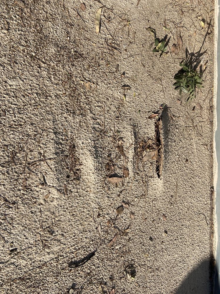 Photo of Miramar Pavers & Design