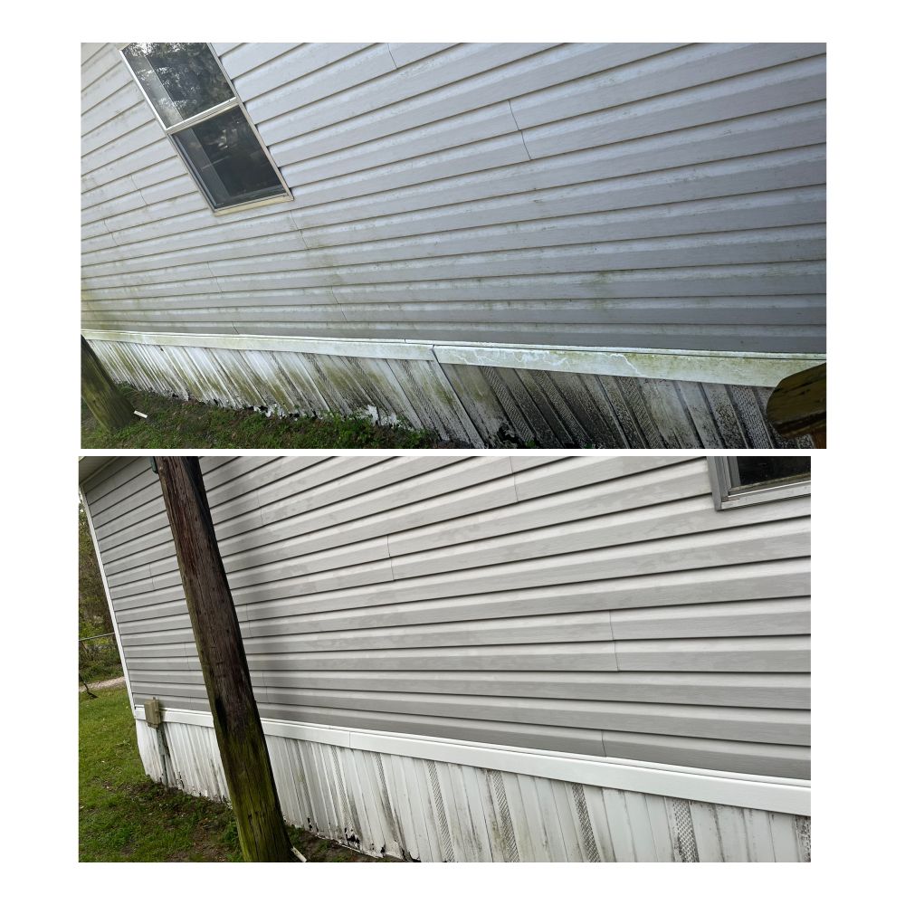 Photo of Flockin Feathers Cleaning solutions