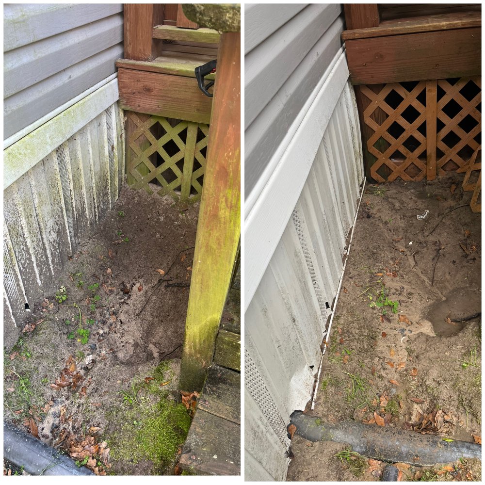Photo of Flockin Feathers Cleaning solutions