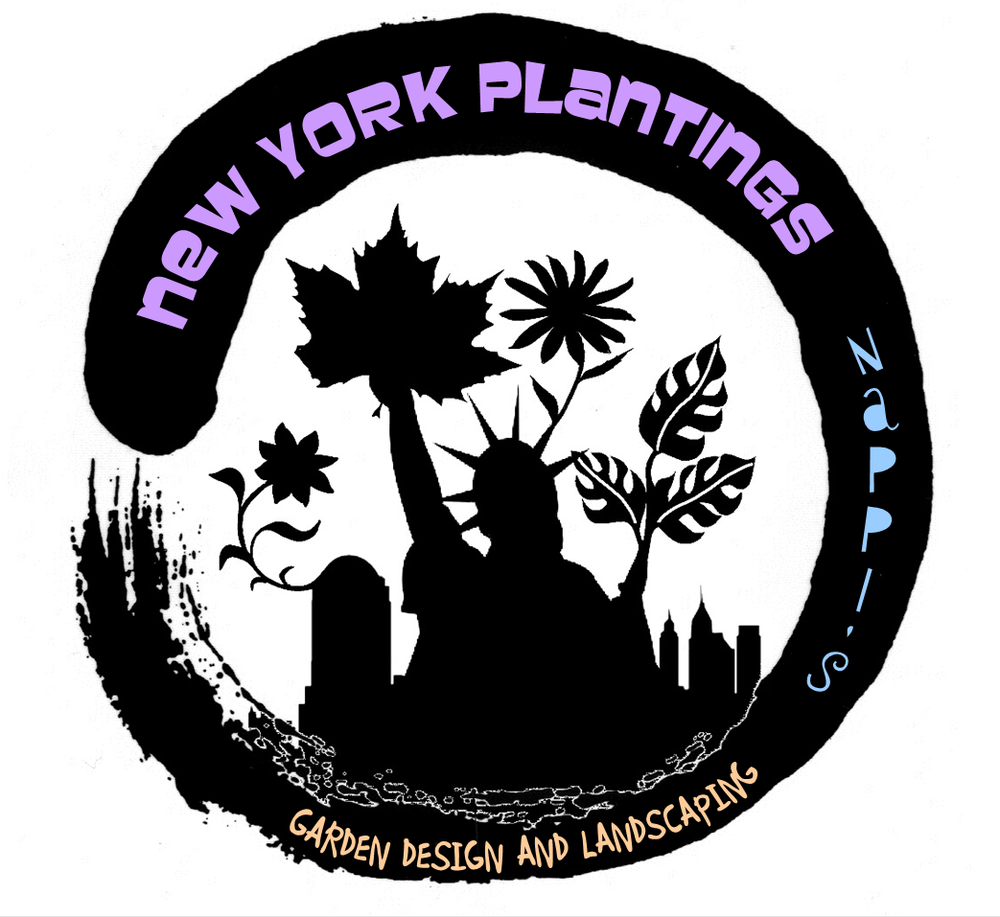 Photo of New York Plantings