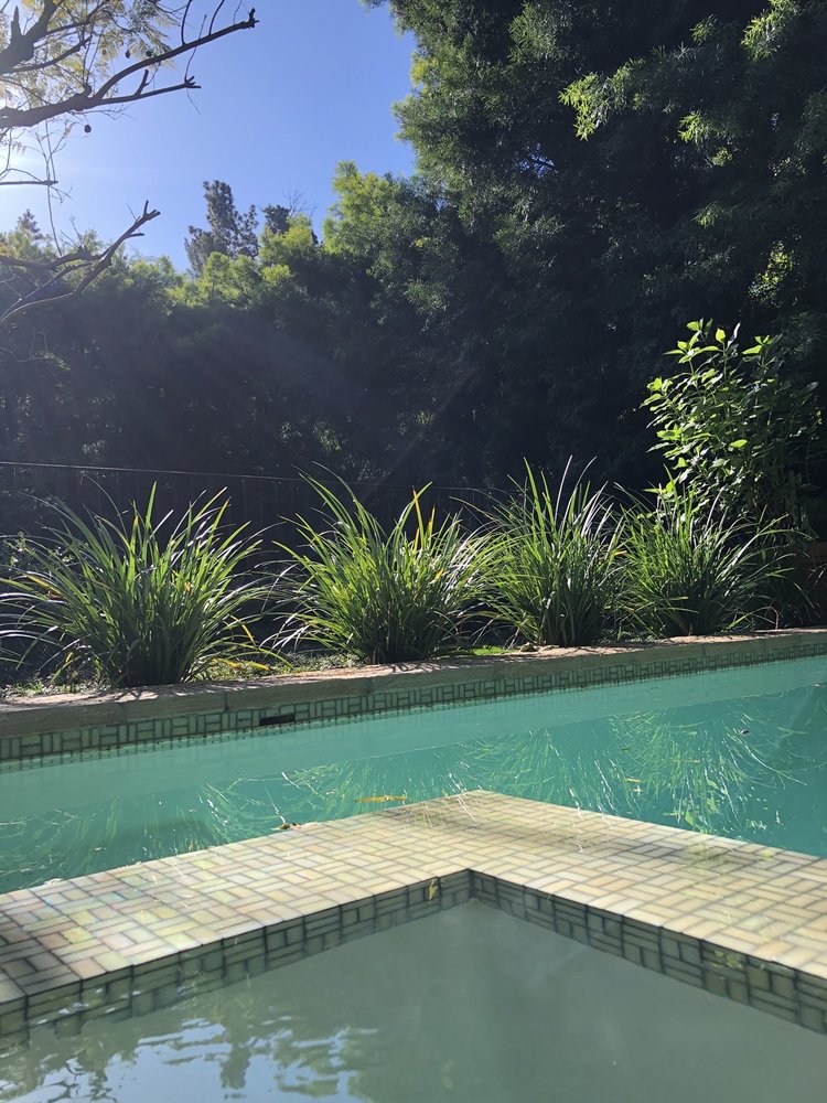 Photo of Poseidon Pool Service