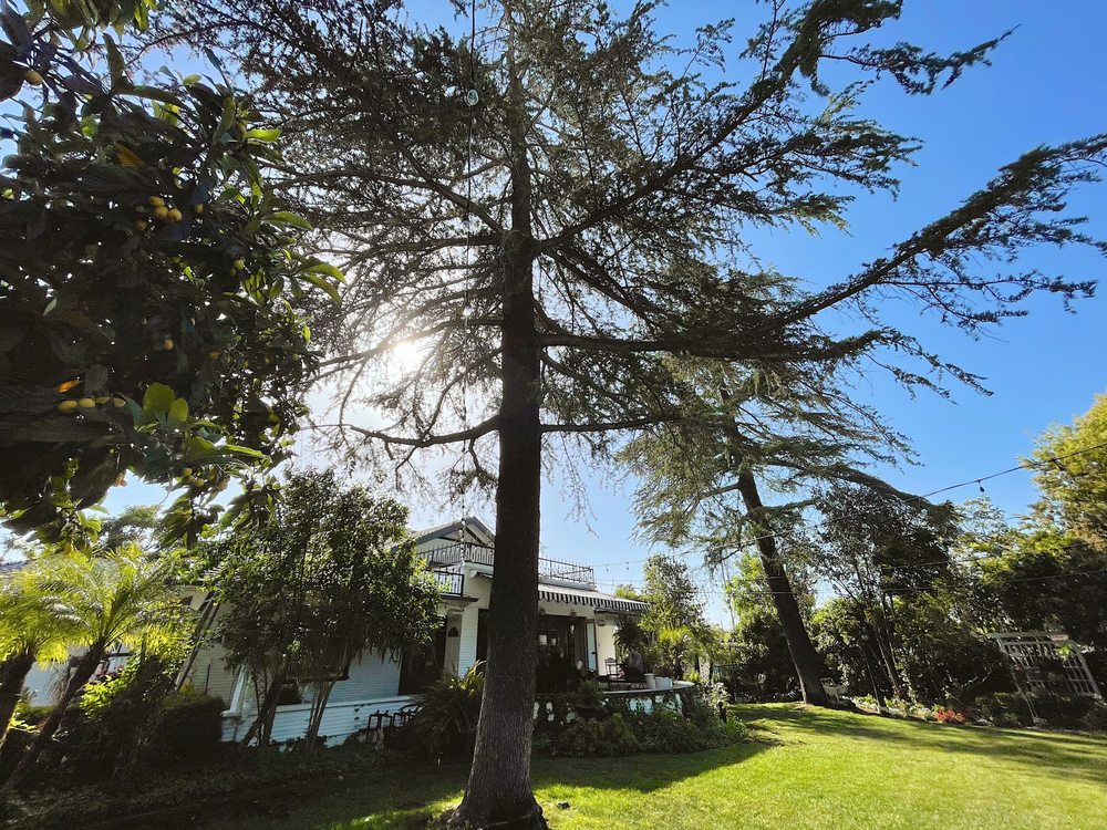 Photo of The Garden Weddings & Events