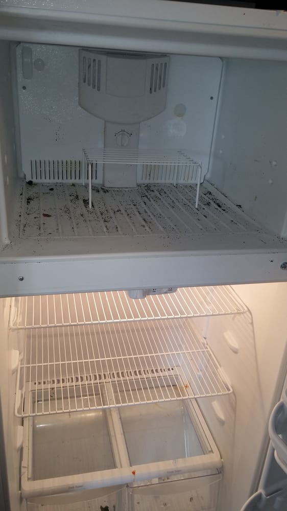 Photo of Clear Look Cleaning
