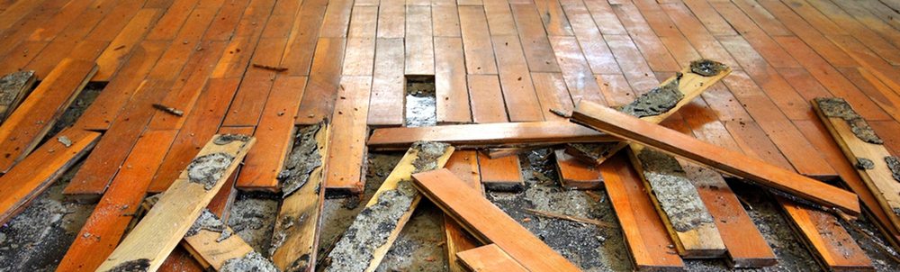 Photo of Enviro Clean Abatement Services