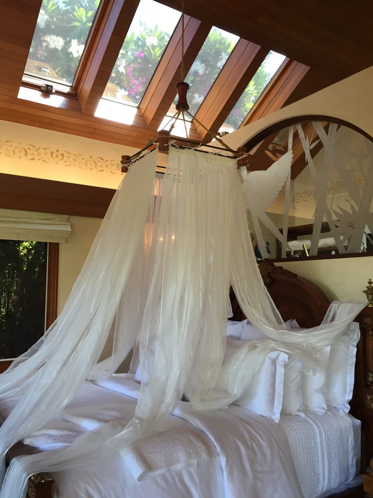Photo of Tamara Dattilo Design
