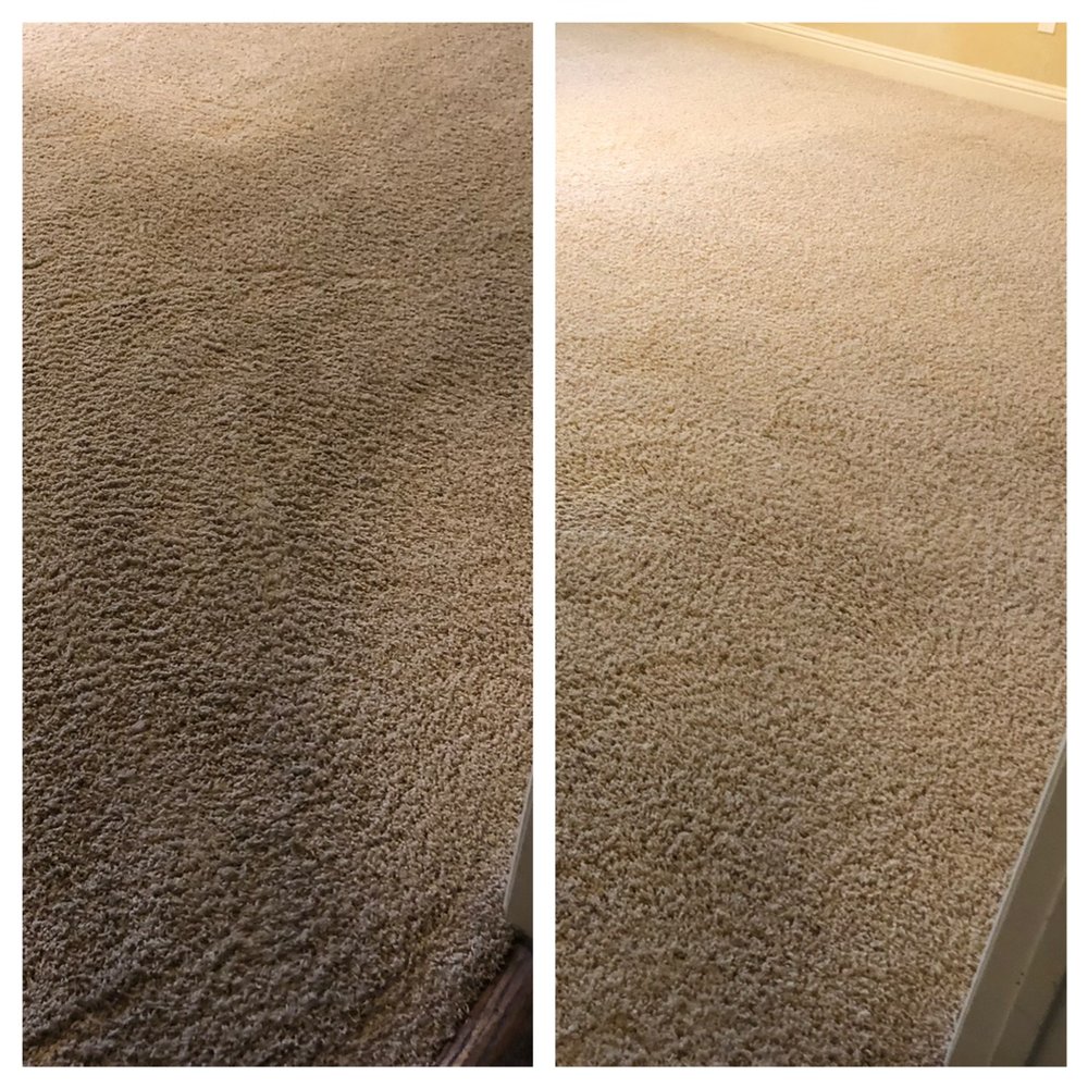 Photo of Purely Fresh Chem-Dry