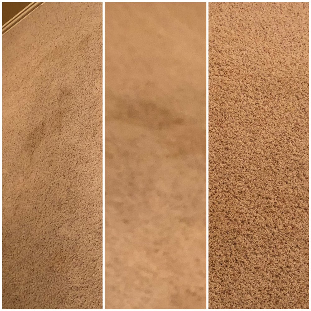 Photo of Purely Fresh Chem-Dry