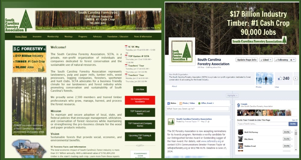 Photo of Carolina Web Design Services