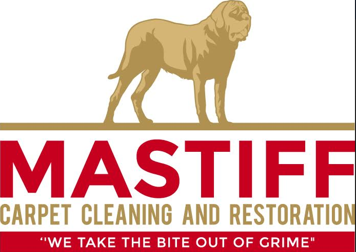 Photo of Mastiff