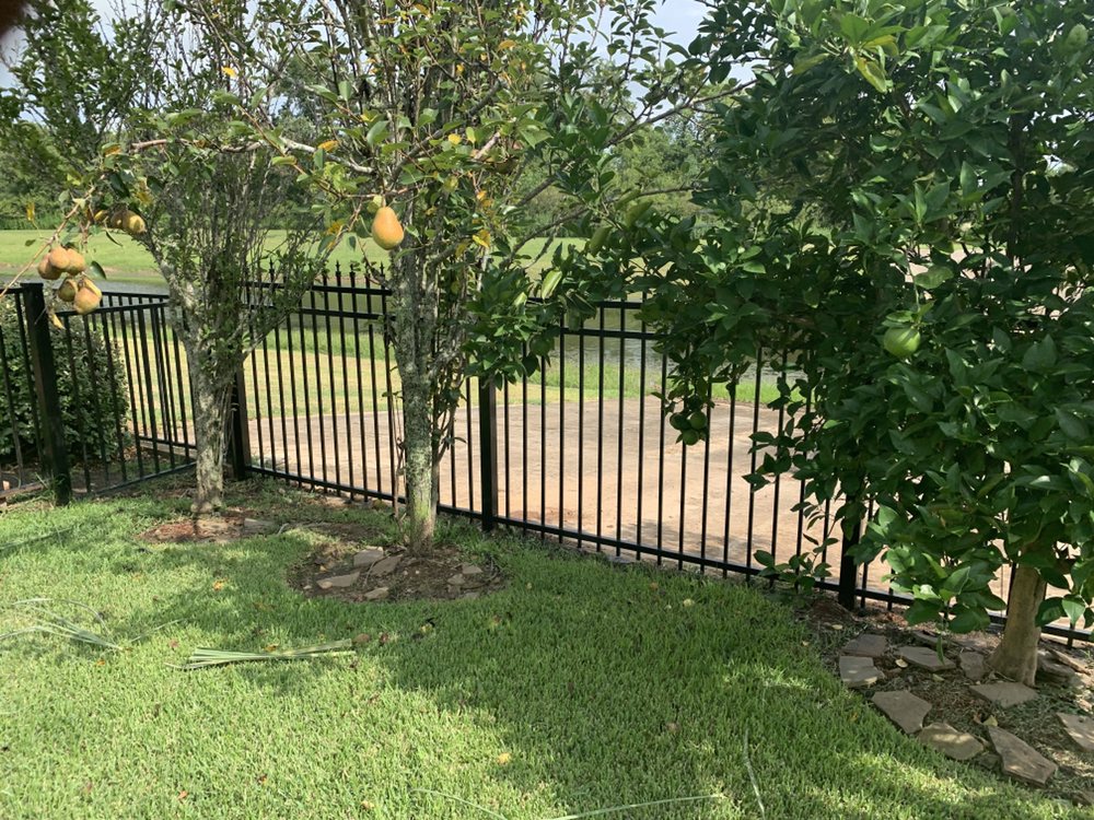 Photo of A Perfect Fence
