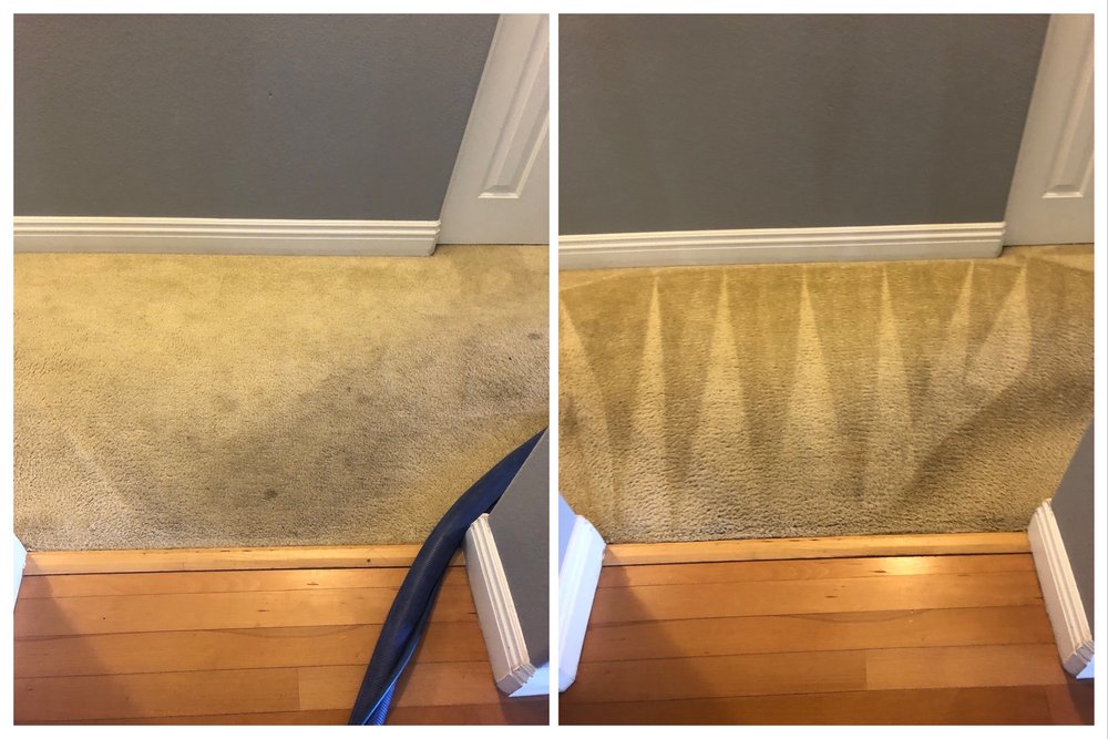 Photo of Triple J Carpet Cleaning
