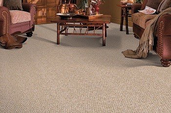 Photo of Carpet Kingdom