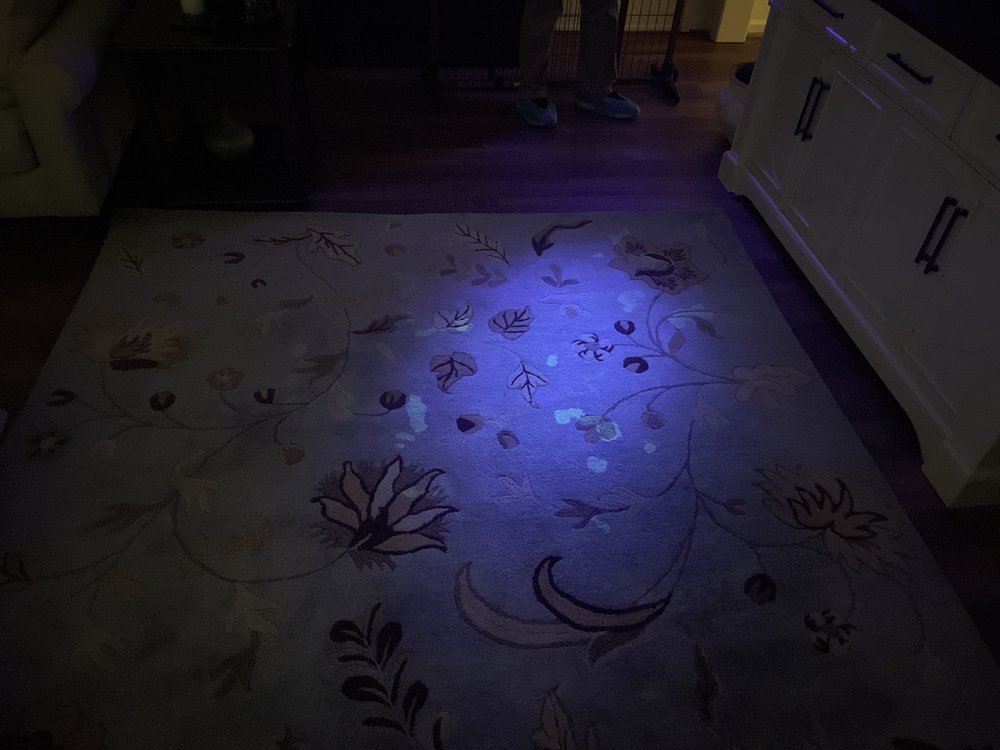 Photo of My Home Carpet Cleaners