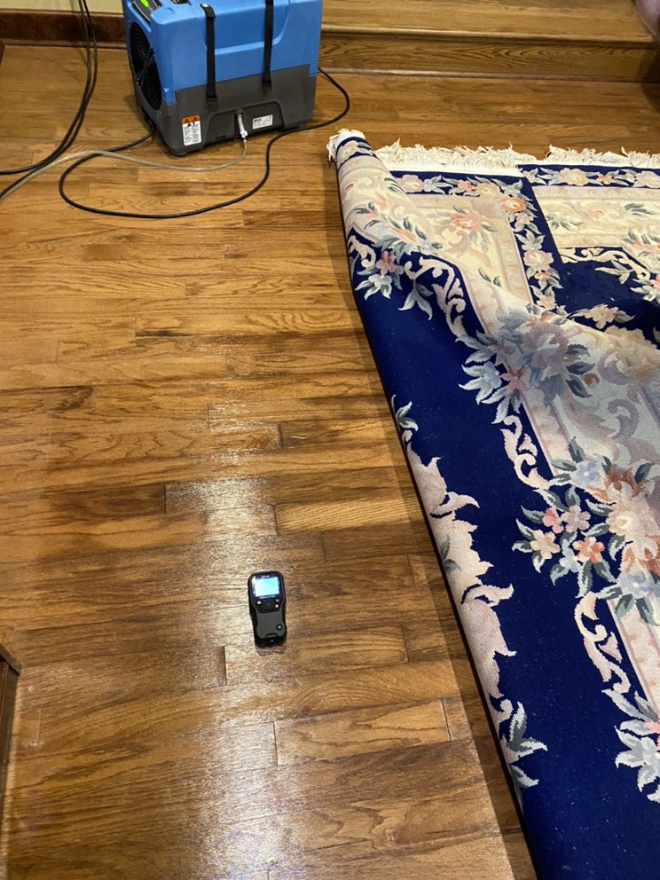 Photo of Duraclean Cleaning and Restoration