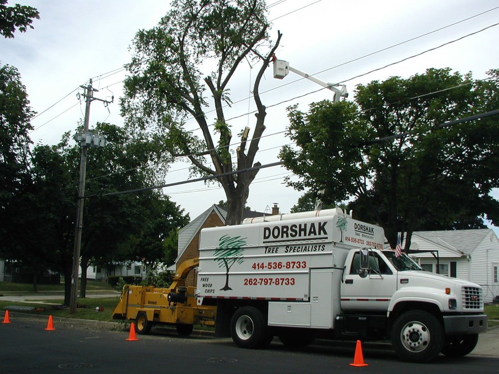 Photo of Dorshak Tree Specialists