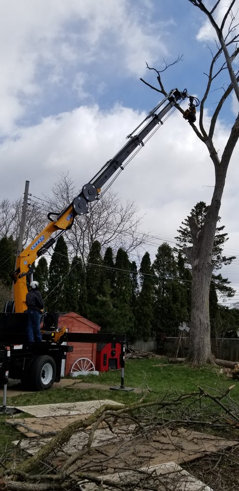 Photo of Dorshak Tree Specialists