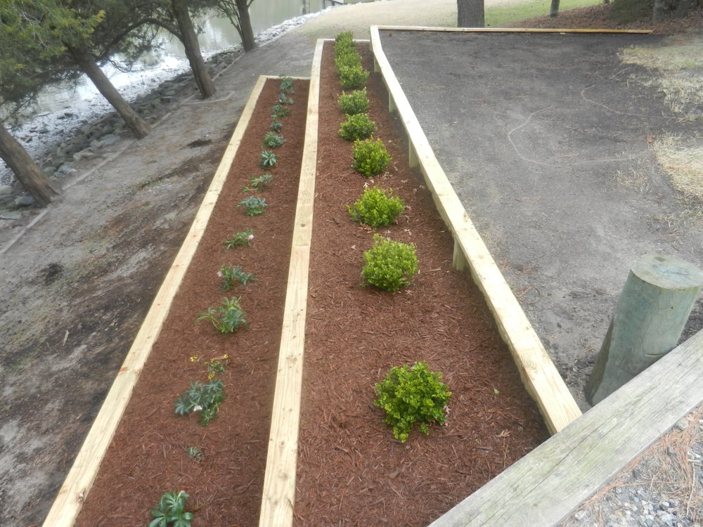 Photo of Oceanside Landscaping