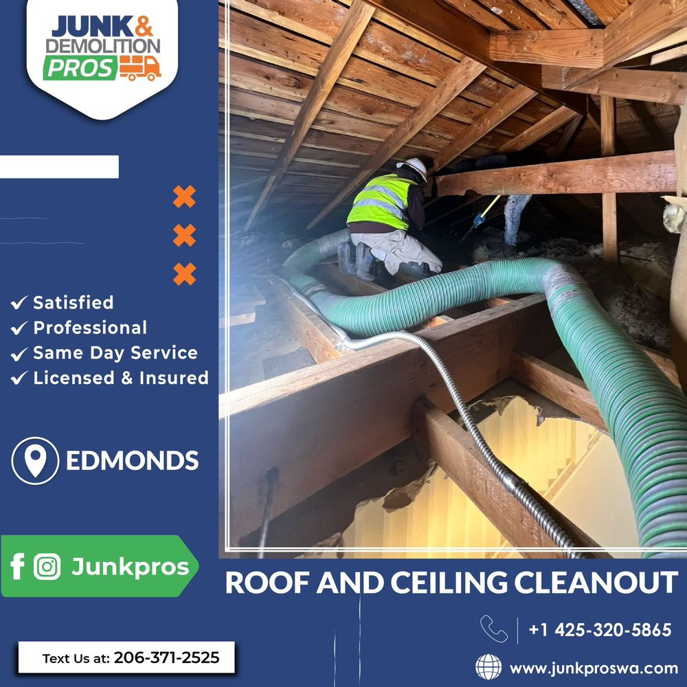Photo of Junk & Demolition Pros