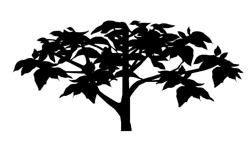 Photo of Terra Designs