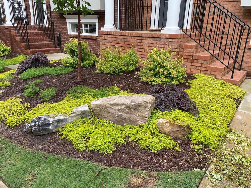 Photo of Atlanta Turf & Tree