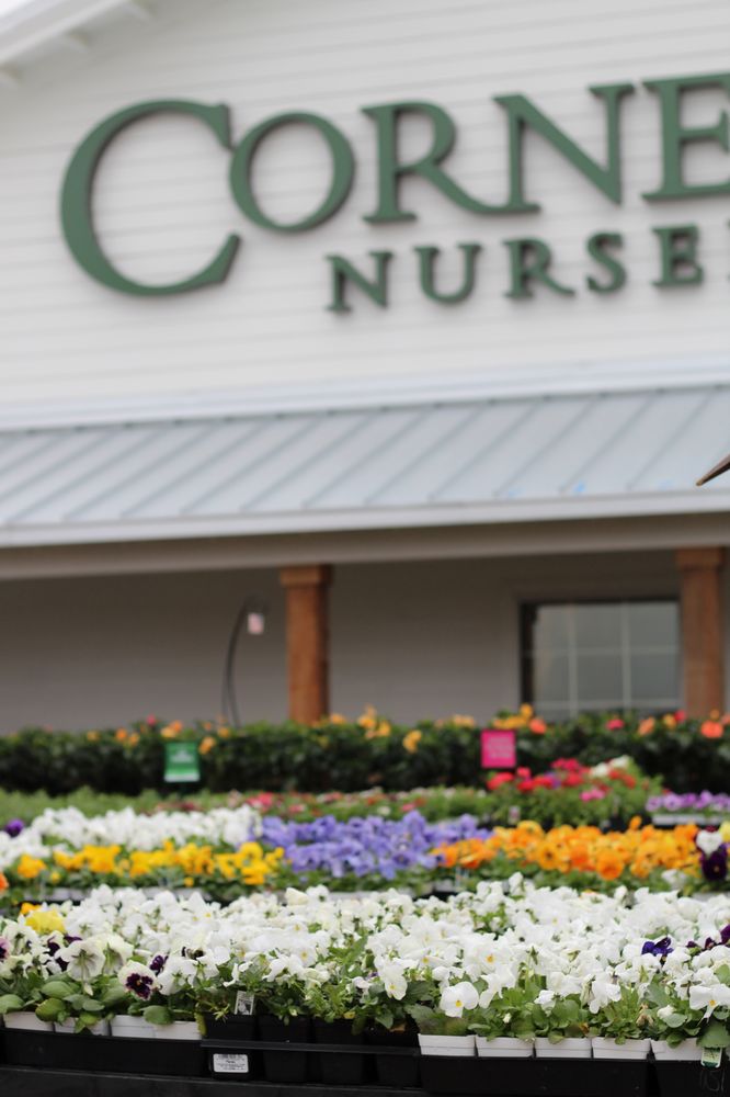 Photo of Cornelius Nursery