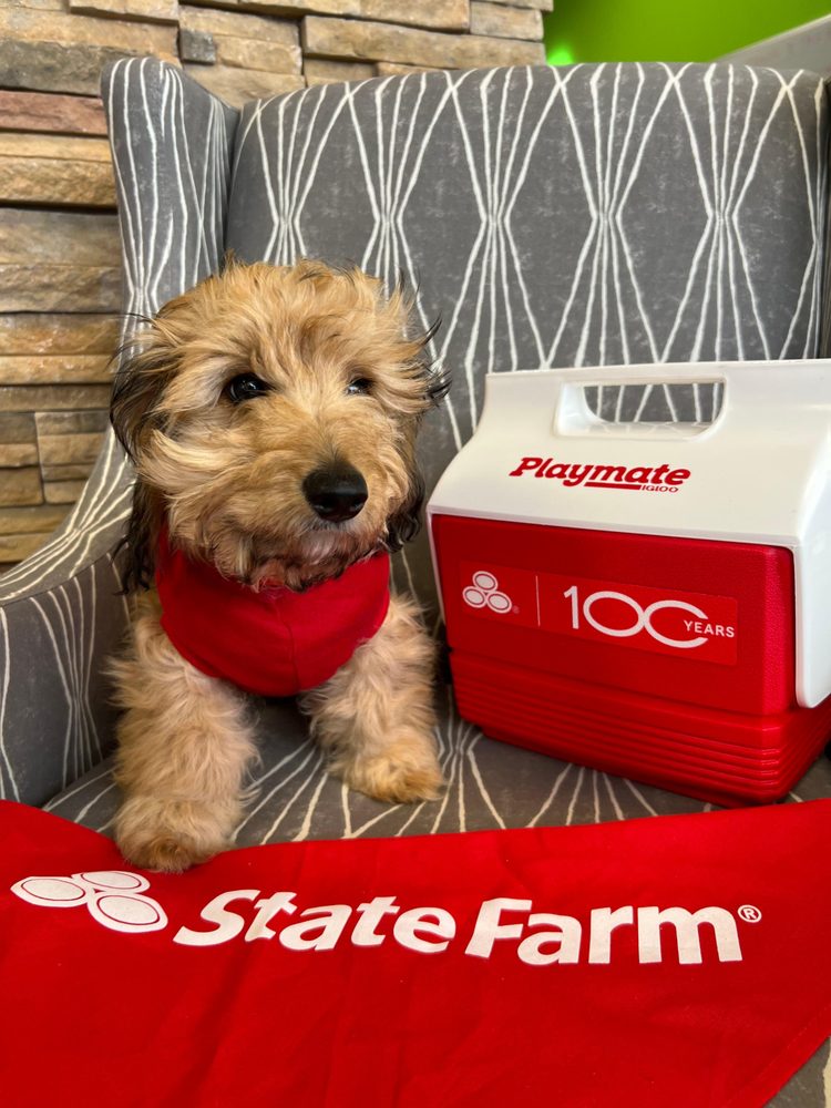 Photo of Beth Santillan - State Farm Insurance Agent