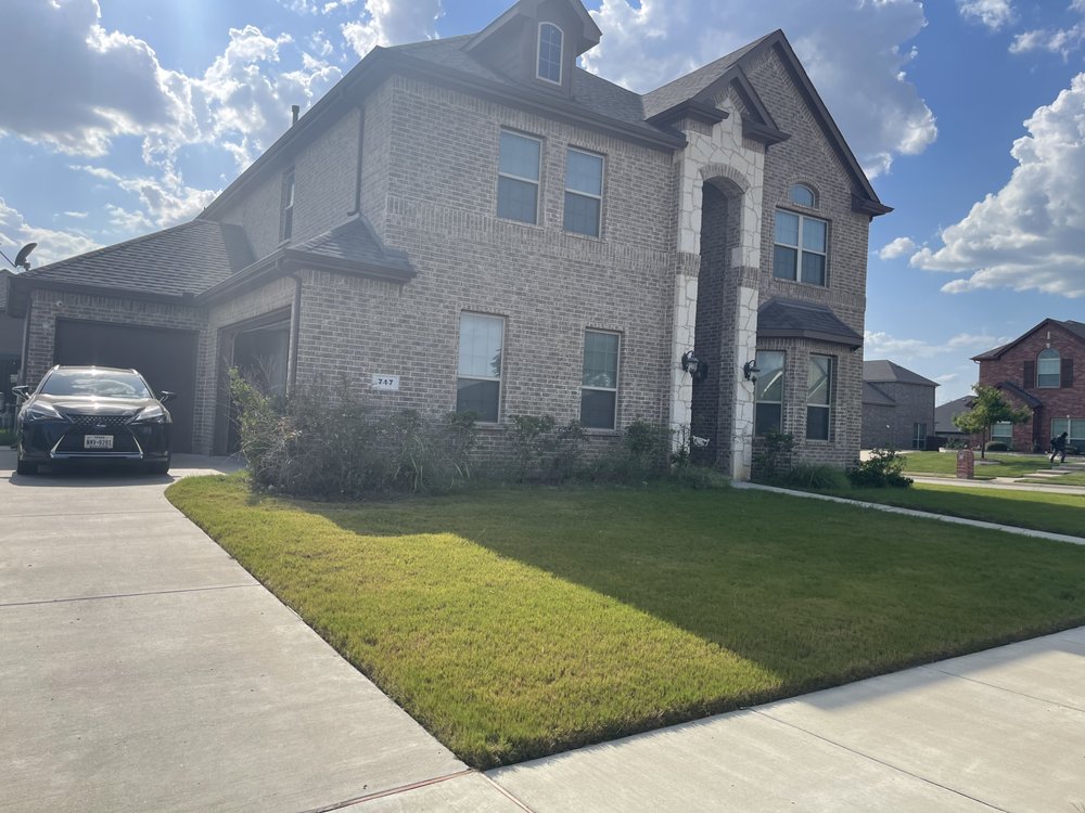Photo of Small Circle Lawn Care