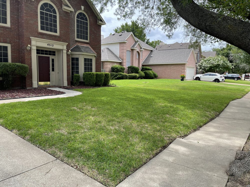 Photo of Small Circle Lawn Care