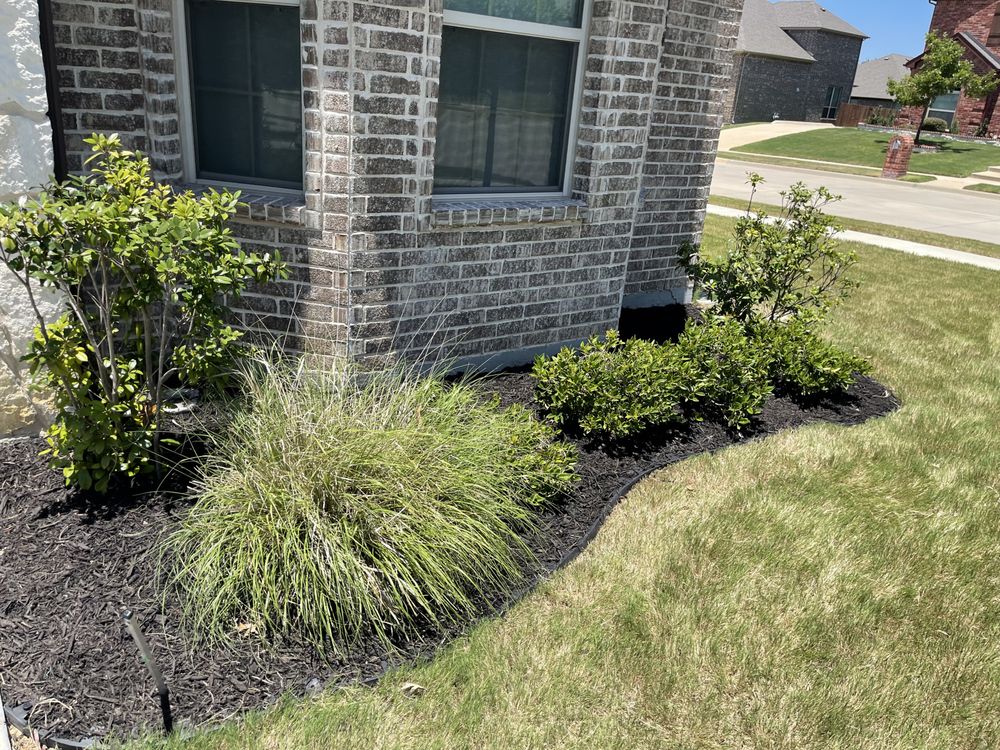Photo of Small Circle Lawn Care