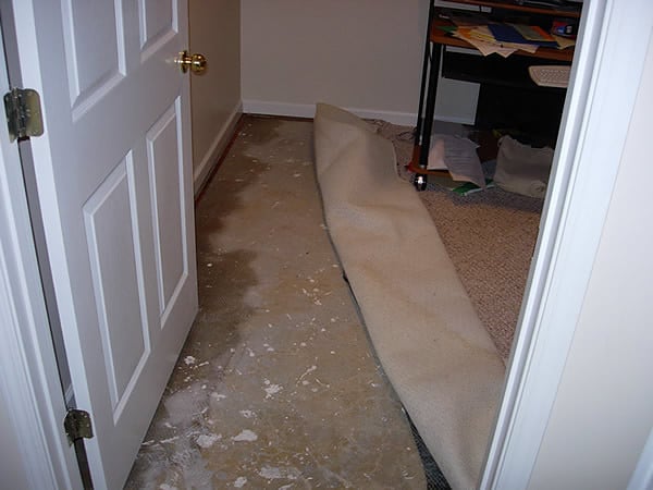 Photo of Royal Water Damage Restoration