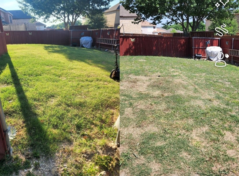 Photo of King Of State LandScaping