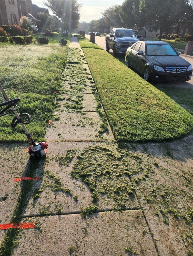 Photo of King Of State LandScaping