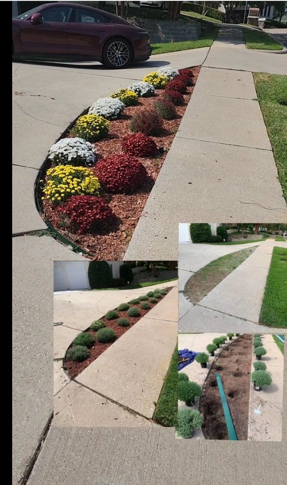 Photo of King Of State LandScaping