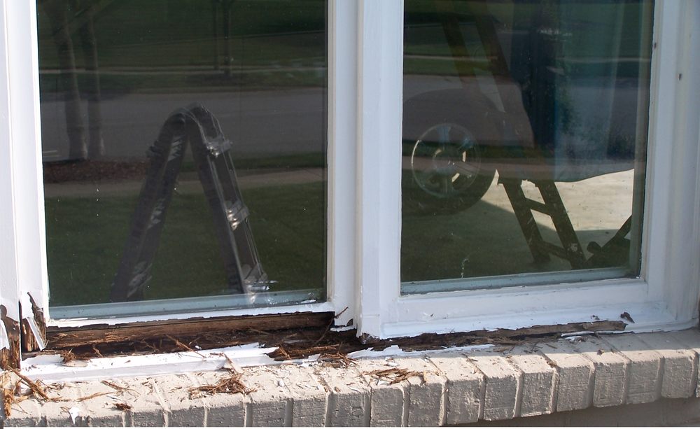 Photo of Pro-Tech Window Repair and Carpentry