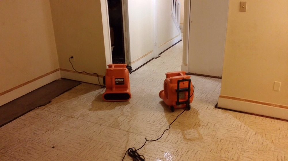 Photo of USA Green Clean
