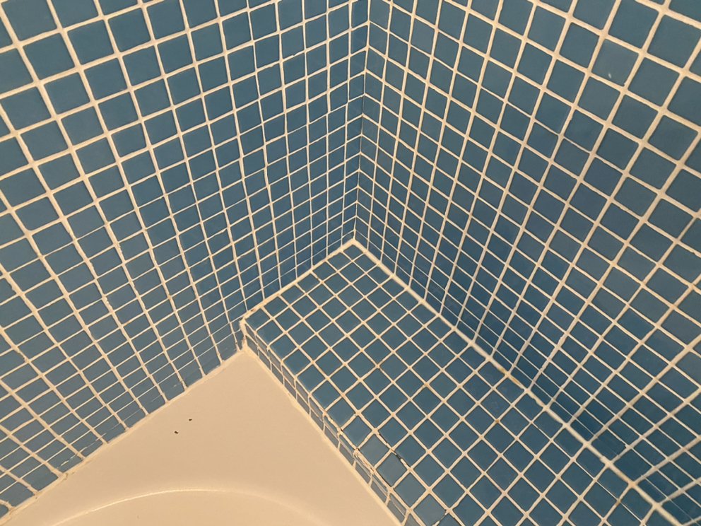 Photo of A Mothers Clean