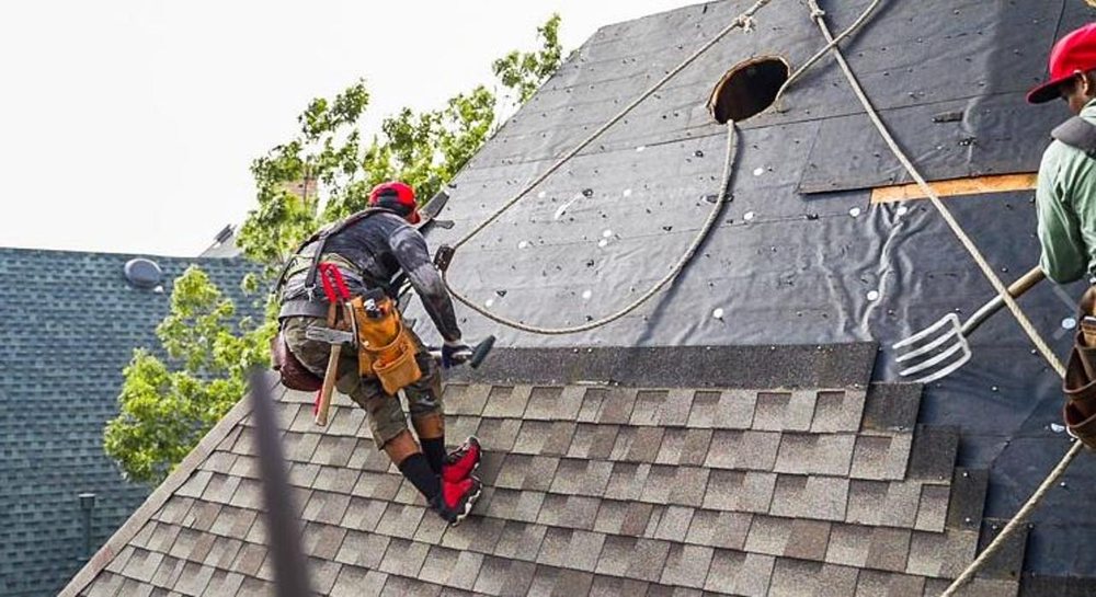 Photo of Hail King Professionals